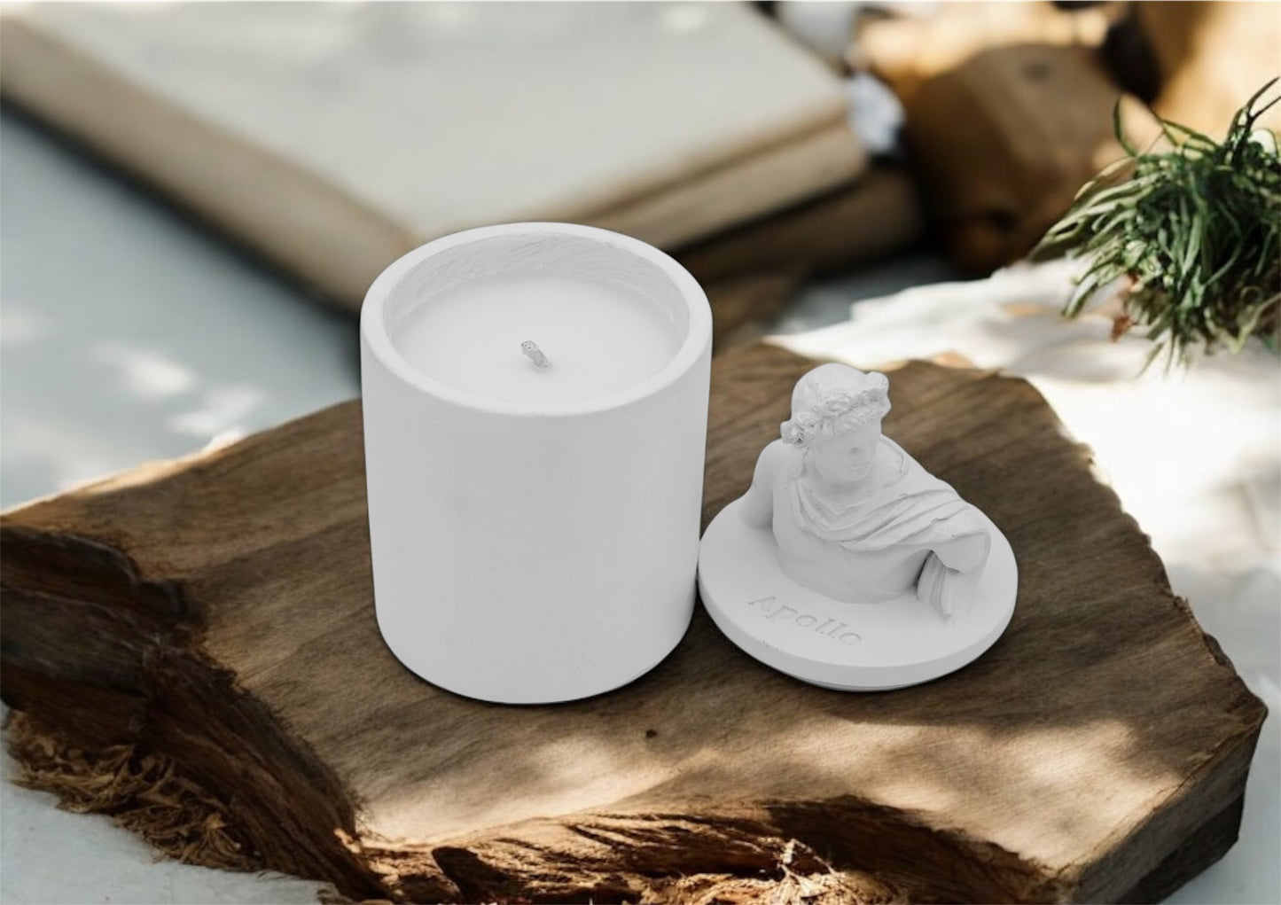 Appolo Luxury Handmade Soy Candle. Perfect Gift For Holidays and Birthdays and also For Home Decor with various scents.